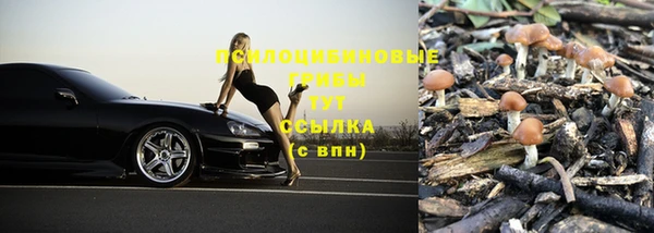 герыч Дмитров