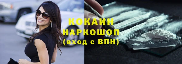 прущие грибы Заводоуковск