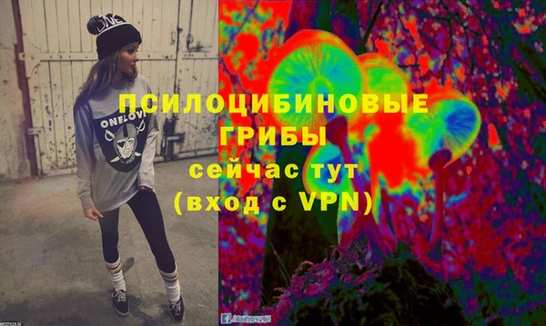 гидра Дмитровск