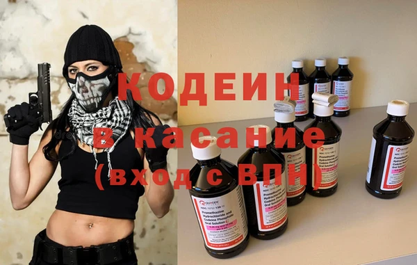 прущие грибы Заводоуковск