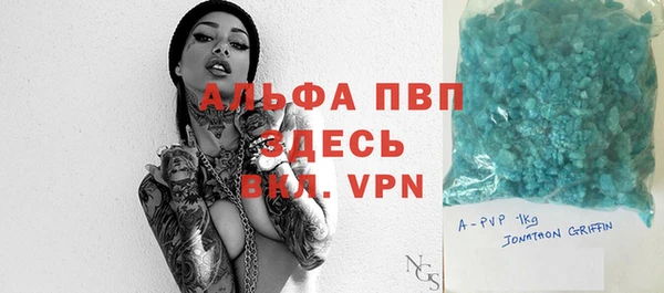 прущие грибы Заводоуковск