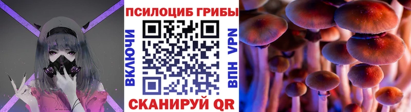 hydra tor  Жуковский  Галлюциногенные грибы GOLDEN TEACHER 
